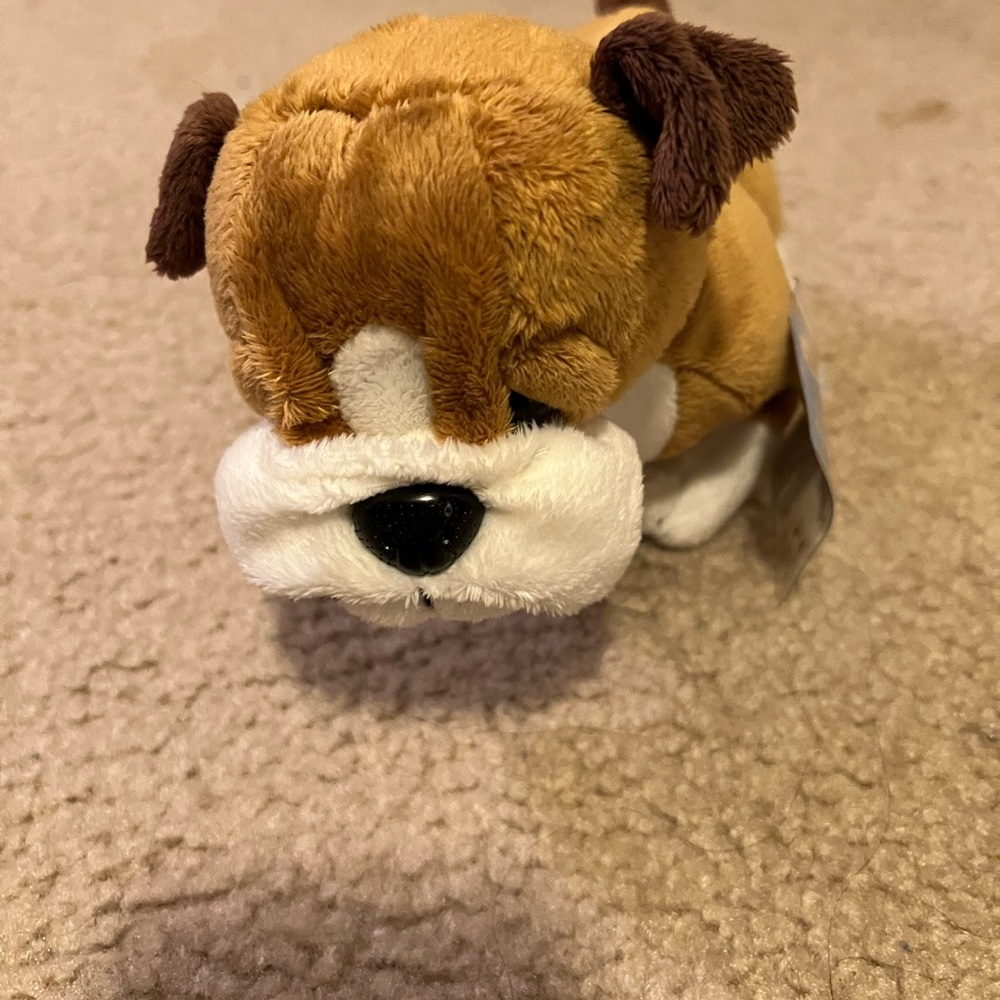 New Webkinz bulldog with tags